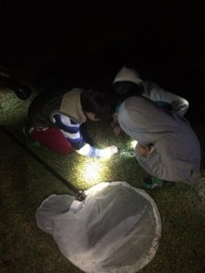 満喫自然体験「秋の鳴き虫観察会」