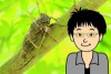 昆虫食、みんなで食べれば怖くない（セミ編）