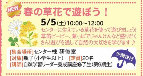 春の草花で遊ぼう！