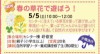 春の草花で遊ぼう！