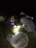 満喫自然体験「秋の鳴き虫観察会」