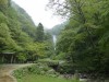 岡山県自然保護センター友の会現地集合観察会「神庭の滝周辺の紅葉散策」