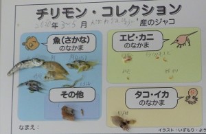 チリメンモンスターを探せ！