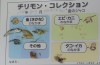 チリメンモンスターを探せ！