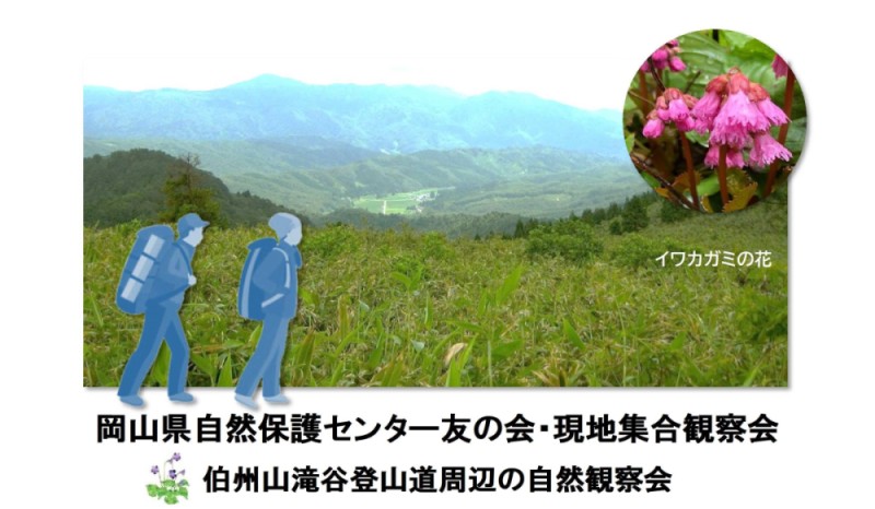 岡山県自然保護センター友の会現地集合観察会「伯州山滝谷登山道周辺の自然観察会」