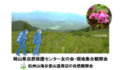 岡山県自然保護センター友の会現地集合観察会「伯州山滝谷登山道周辺の自然観察会」