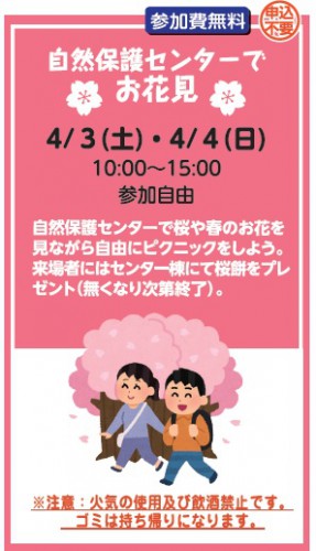 自然保護センターでお花見