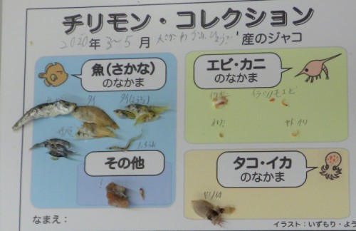 チリメンモンスターを探せ！