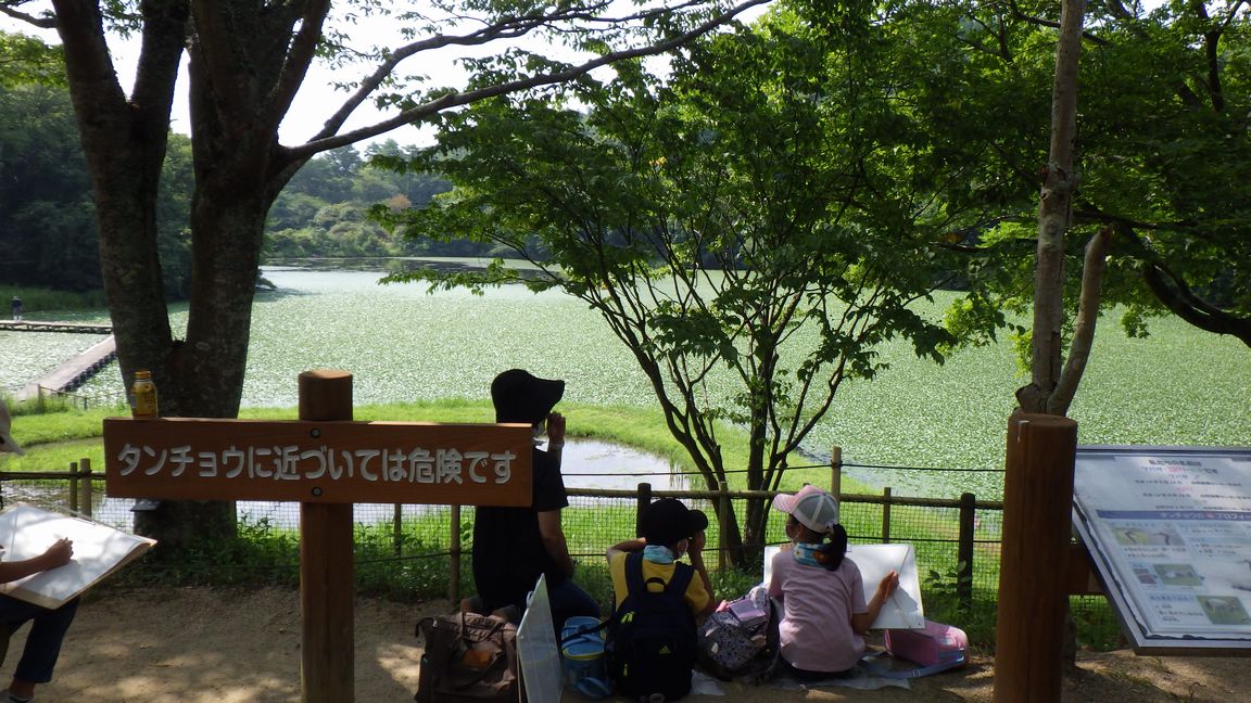 令和３年度タンチョウ写生大会報告