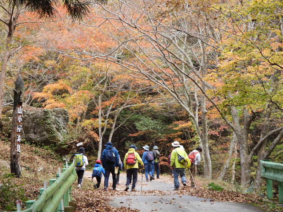 現地集合観察会実施しました（白賀渓谷）