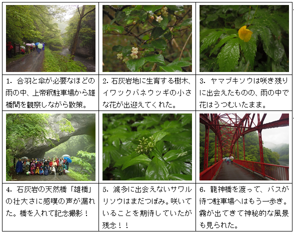 バス利用観察会 「帝釈峡自然観察トレッキング」