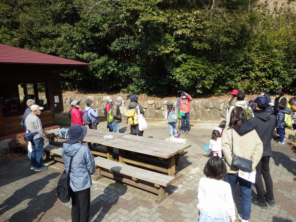 生き物発見隊