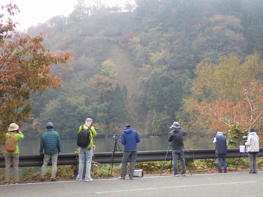 岡山県自然保護センター 友の会とは
