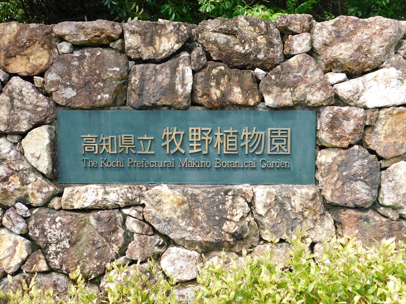 友の会30周年記念バスツアー　牧野植物園にいったゾ～