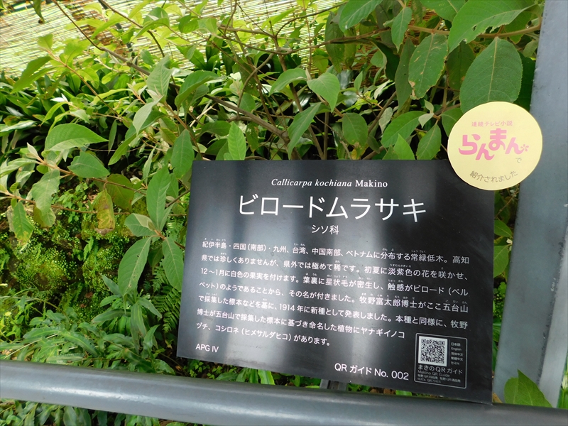 友の会30周年記念バスツアー　牧野植物園にいったゾ～