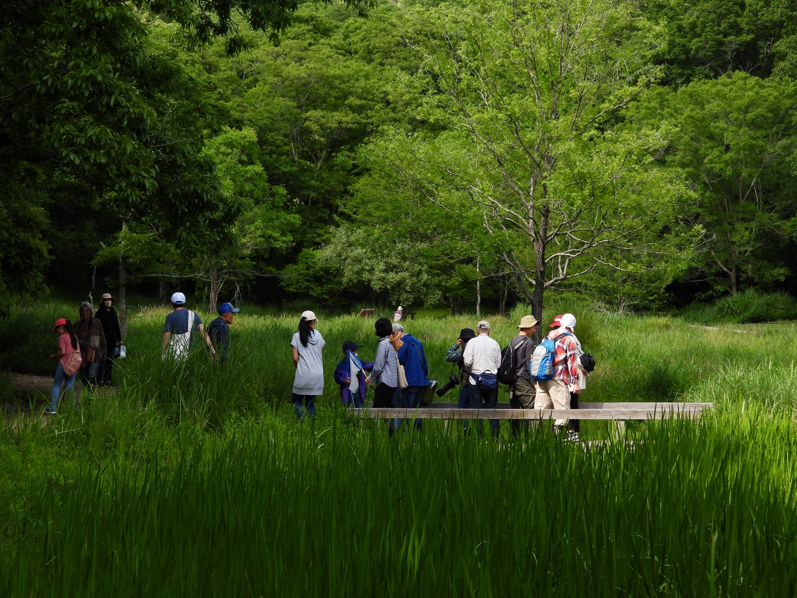 令和５年５月の生きもの発見隊