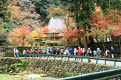 佛通寺の紅葉とウオーキング2