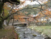 佛通寺の紅葉とウオーキング4