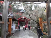 佛通寺の紅葉とウオーキング8