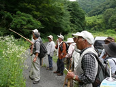 槻谷川の自然観察写真2