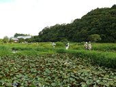 トンボ自然公園とホエールウオッチング写真3