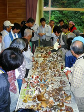 きのこ観察会写真5