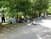タンチョウ写生大会とクラフト写真2