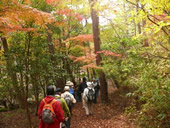 高梁自然公園写真1