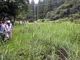 内海谷湿原での視察風景1