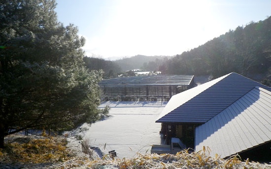 2月2日の朝の降雪で雪化粧。その後快晴に。