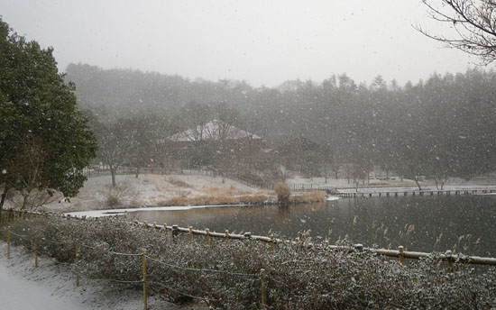 2月2日の朝、ご覧のような降雪がありました。