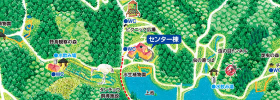 イラスト施設配置図